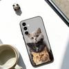 The Cat Crew  Phone Case Black Silicone Soft For Samsung Galaxy A73,A72,A71,A70,A53,A52,A51