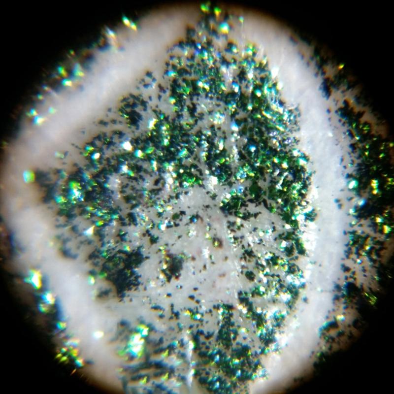 160-200X Adjustment Portable LED Microscope LED Lighted Pocket Microscope Magnifier-M25 Natural Observation Uses