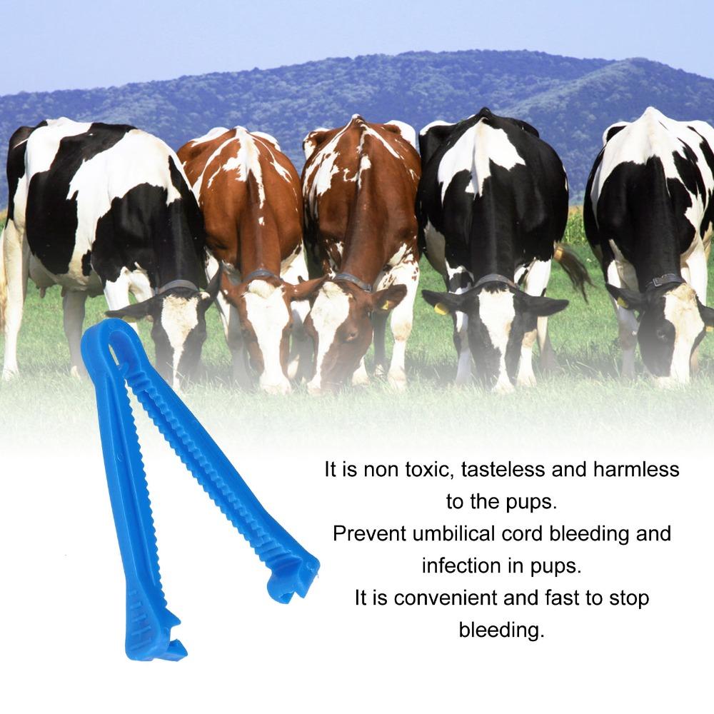 100pcs Non-Toxic Disposable Umbilical Cord Clamp Blue Umbilical Cord Clamp Livestock Pups