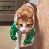 Braços Musculosos de Gato Engraçado, Hilários Braços Musculares Impressos em 3D Leves Adereços para Sessão de Fotos Fixação no Ombro para Cosplay Felino Brinquedos Adereços para Animais de Estimação