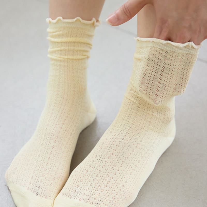 TSH Pointel Socks 4colors