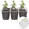 Plastic Plant Shoots Kit Plastic Plant Shoots Kit Shoots Tray