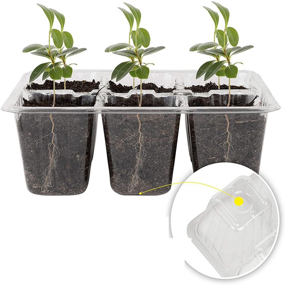 Plastic Plant Shoots Kit Plastic Plant Shoots Kit Shoots Tray