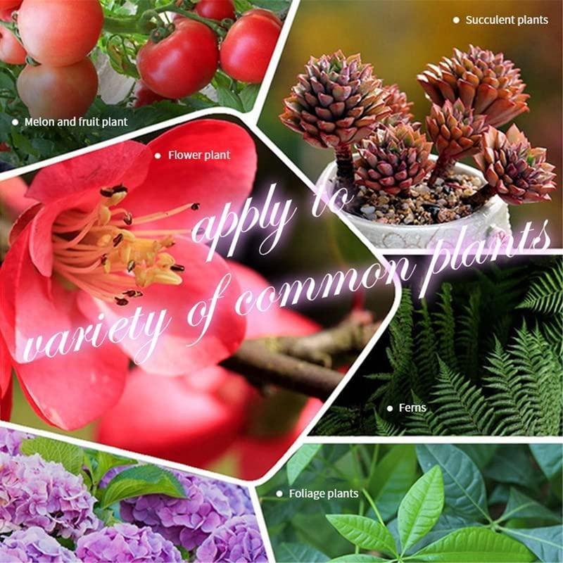 2 scatole di fertilizzante organico universale in compresse a rilascio lento per giardinaggio domestico, fertilizzante organico a base di farina di ossa, per nutrire le tue piante in un gioco da ragazzi(1 scatola/22 pezzi)