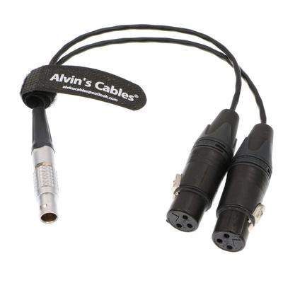 Alvin's Cables XLR Breakout Cable 10Pin Dual XLR Female