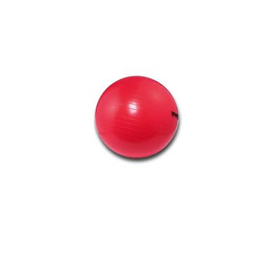SPARTAN Gymnastics Ball Diameter 75 Cm - Red
