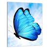 SZKLANA DESKA DO KROJENIA 40x52 Motyl