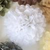10pcs 4 6 8 10 12 Inch Tissue Paper Pom Poms Wedding Party Paper Pompom Flower for Wedding Decoration Pompoms Birthday Baby KTY