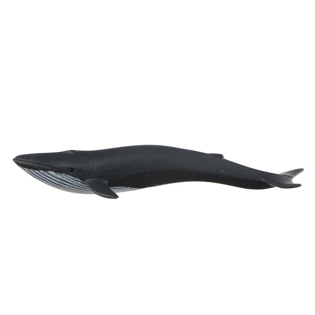 (Precious memory)Simulated Marine Animal Figure Model Shark Dolphin Children Toys 12Pcs