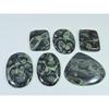Natural Star Galaxy Kambaba Jasper Mix Cabachon Loose Gemstone 06 Pcs Lot C-2628