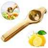 Presse-citron Extra Large, Presse-citron Juicer Acier Inoxydable, Presse-agrumes Manuel Robuste à Main