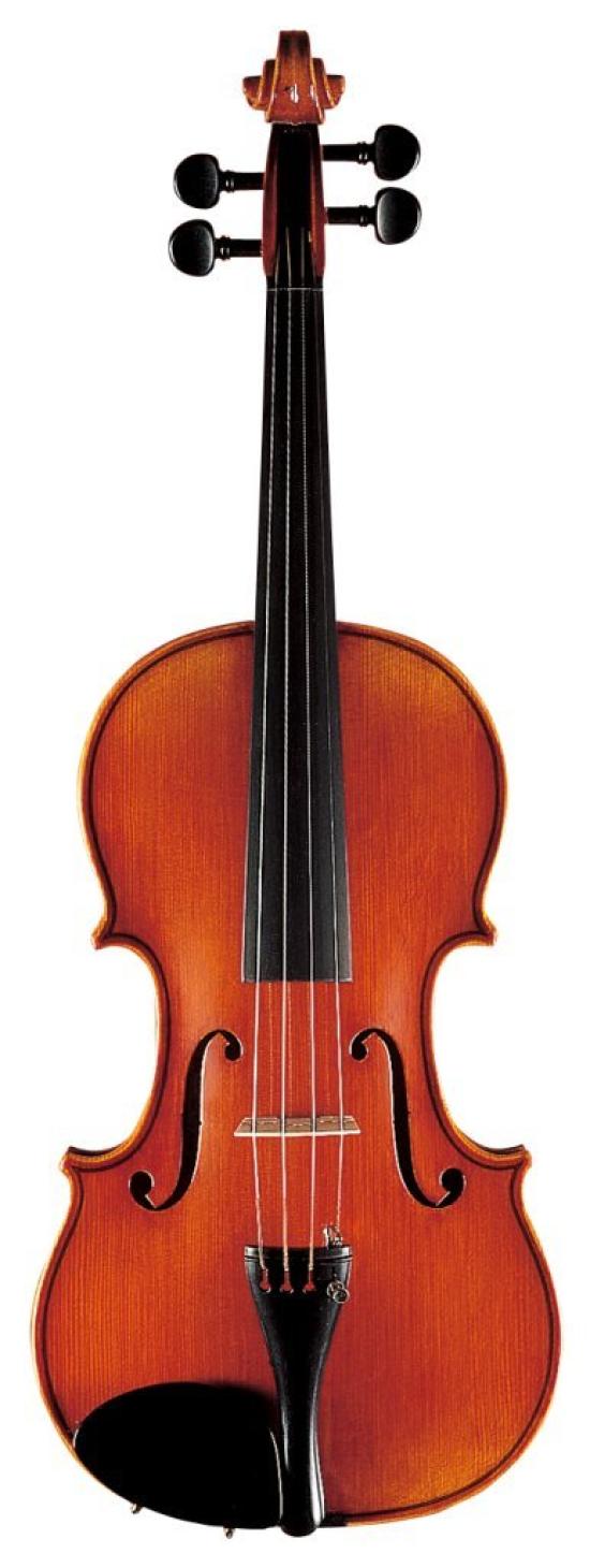 

Suzuki Violin No.310 44