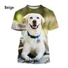 Labrador Retriever T-Shirt Sommermode Haustier Hund Herren Damen Casual Kurzarm 3D Druck T-Shirt
