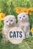 The Cats Book