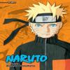 Naruto 3in1 Edition Vol. 15 by Masashi Kishimoto Paperback Book 9781421583419