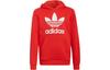 Kids Sweatshirts Hooded Moderate HD2020