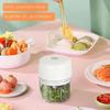 Wireless Electric Mini Garlic Chopper 100/250ml Mini Food Processor  Kitchen Gadgets