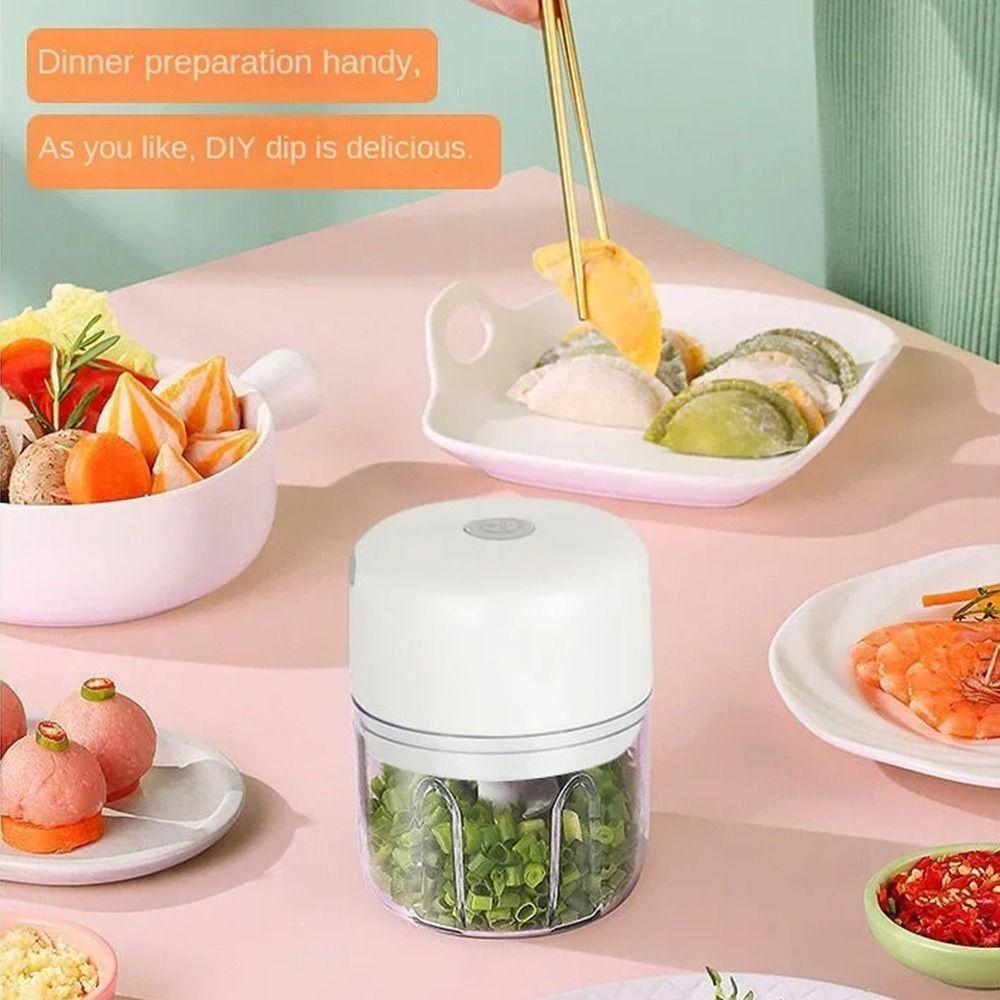 Wireless Electric Mini Garlic Chopper 100/250ml Mini Food Processor  Kitchen Gadgets