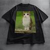 Meowl Meme Katze T-Shirt Lustiges Katzen Meme Shirt Katze und Eule Gehirnfäule Meowl T-Shirt Ungezügelte 90er Kätzchen T-Shirt Lustiges Grafikshirt Unisex ...