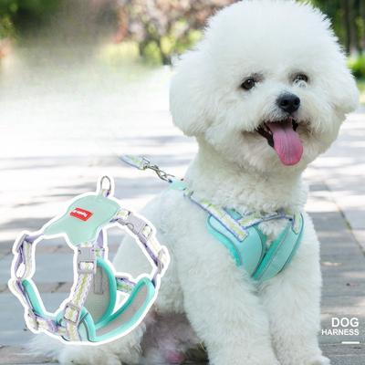 Forniture per animali domestici estivi: Bretelle doppie leggereCinghie pettorali rinforzate anti-fugaGuinzagli per cani
