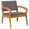 Garden Chair with Cushion 2 Pcs Oil Natural Solid Acacia Wood
