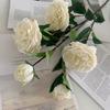 Artificial Peony Flowers 35.8" Faux Peony Stems Realistic Fake Silk Peony Branches with 3 Bloom Heads And 2 Buds for Vase DIY Bouquet Weeding