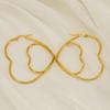 Trendy Double-Layer Heart Design Earrings: European & American Fashion, Versatile & Stylish for Women