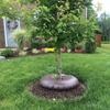 Anti-UV Tree Watering Bag Adjustable Water Flow Automatic Watering Bag  Gardening Shrubs