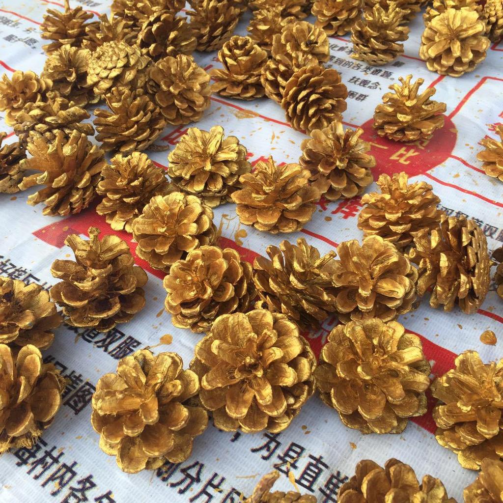 Christmas Pine Cones & Dried Flowers Pack - Eucalyptus, Pine Wood, Cotton, Handmade Photography Props