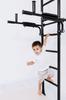 Lifting Handrails - Elite Black