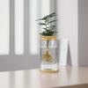 3pcs Hydroponic Glass Vase Creative Transparent Hydroponic Plant Flowerpot Office Living Room Desktop Decoration Ornament