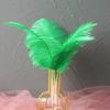 Color 20-25Cm Ostrich Hair Vase Ornament Wall Feather Decoration Hand Bouquet Flower Arrangement Diy Material
