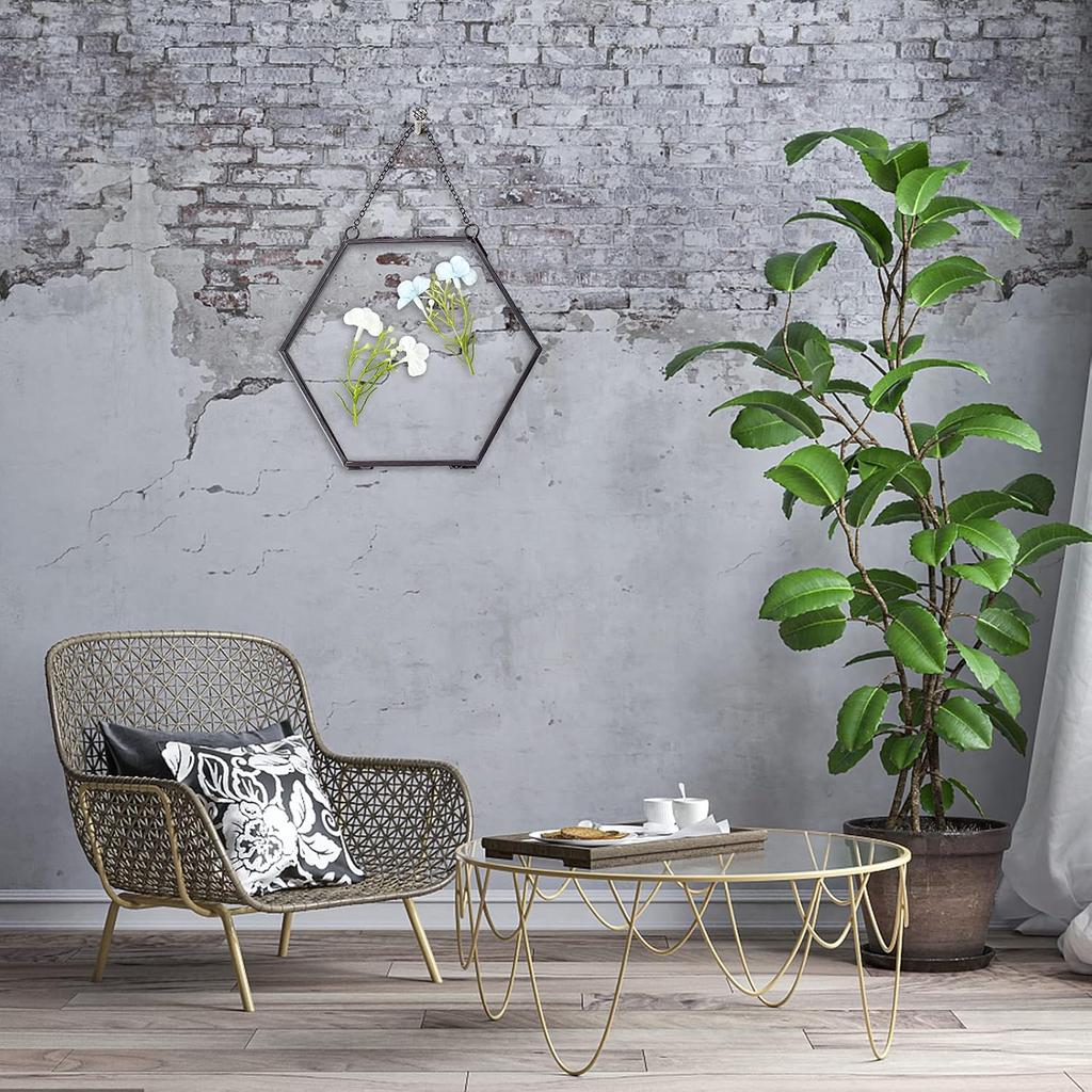 FINGERINSPIRE Hanging Glass Frame Brass Hexagon Wall Frames (6x6 Inches) for Display Pressed Plant Specimen Dried Flowers Black DIY Vintage Artwork