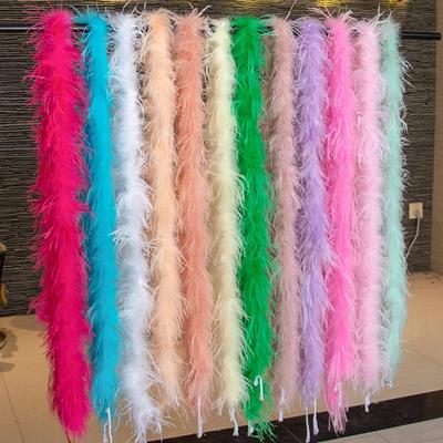 Bunte 1-lagige Straußenfedern-Boa, 2 Meter Federn-Schal für Hochzeit, Kleidung, Dekoration, Nähen, Basteln, Kostüm, Kleidungszubehör