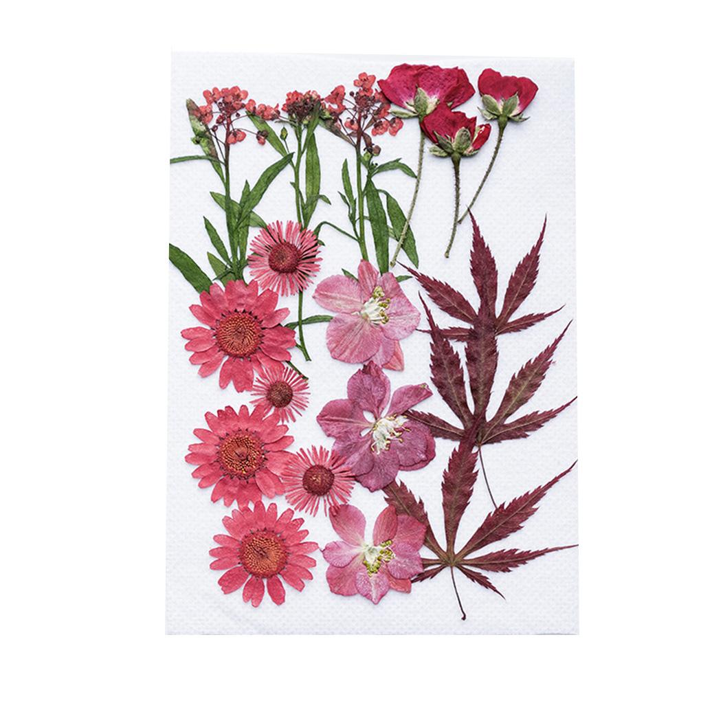 

Натуральные тисненые поделки Прессованные цветы Сухая красота Декорация Бытовые подарки для свадебных открыток Свеча type 2