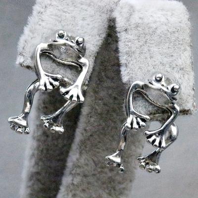 1 Pair of Fashionable Simple Style Frog Front and Back Earrings, Suitable for Women's Daily Wear