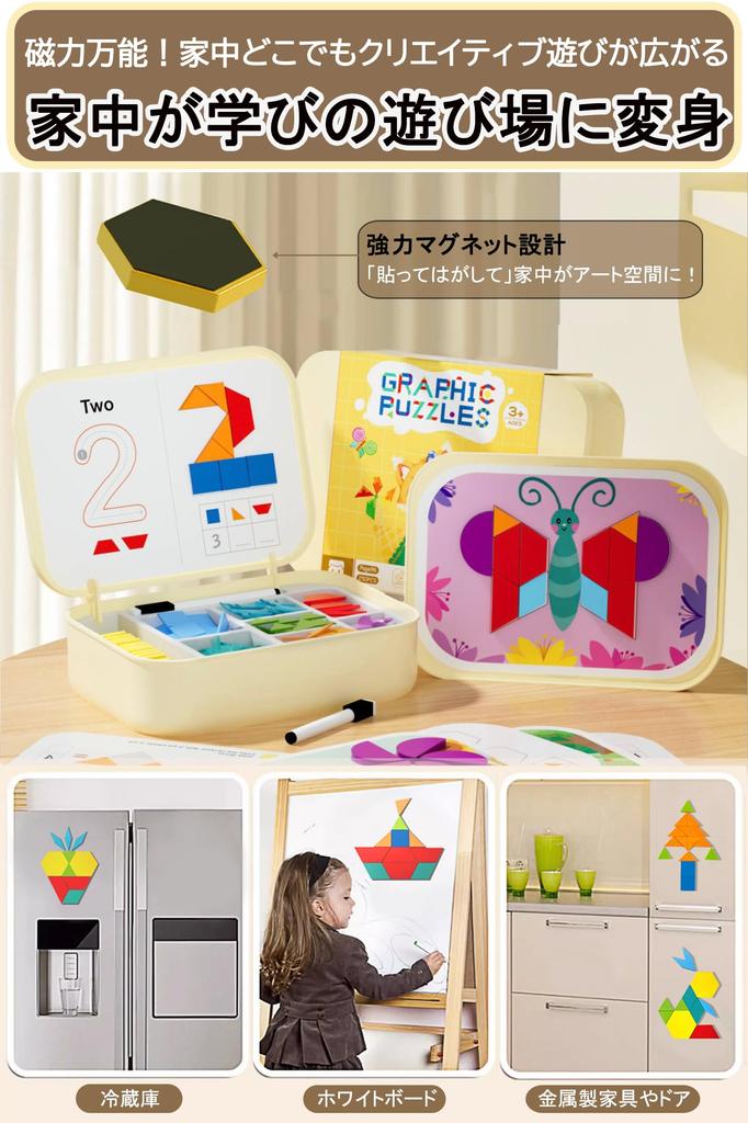 JUYEE Educational Toy, Magnetic Puzzle Set of 250 for Ages 3, 4, 5, and 6, Montessori Style for Babies and Boys, Preparing for School, Color and