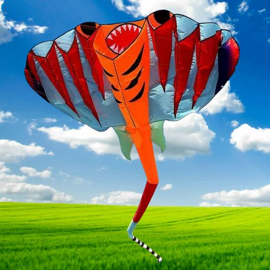 Weifang 3D Měkký Paprskový Drak: Snadno létající dospělý drak s dlouhým ocasem