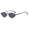 Polygonal Small Frame Metal Frame Fashionable Women's Sunglasses Simple Ins Suitable for Daily Shopping Accessories