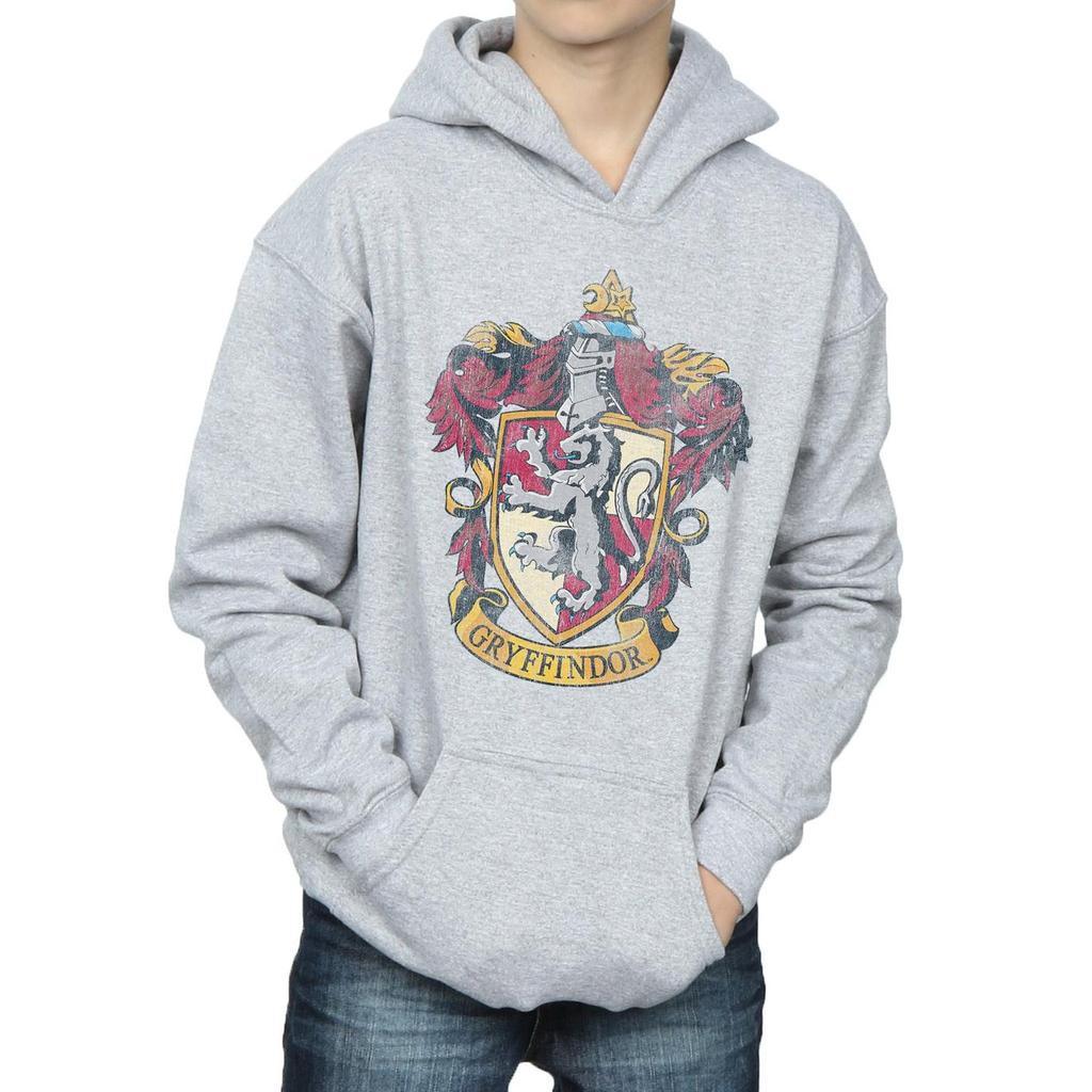 Harry Potter Boys Gryffindor Distressed Crest Hoodie