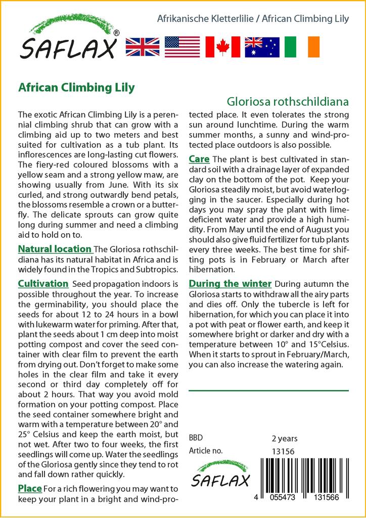 SAFLAX African Climbing Lily - 15 Seeds - Gloriosa Rothschildiana