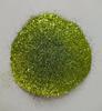 Cross-Border Iridescent Neon Glitter Highlighter for Nails and Cosmetics