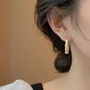 Real gold electroplated zircon U-shaped ear buckles ins light luxury high-end earrings Hong Kong style temperament design earrings women