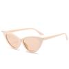 Occhiali da Sole Vintage Cat Eye per Donna Uomo Occhiali da Sole Rotondi Occhiali Ovali Femminili Stile Retrò Protezione UV