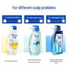 Head & Shoulders Cool Menthol Anti-Dandruff Shampoo