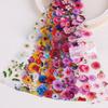 Rose Flowers Nail Design Stickers Daisy Nail Art Foil 10 Sheets Flower Nail Foils  Spring Summer