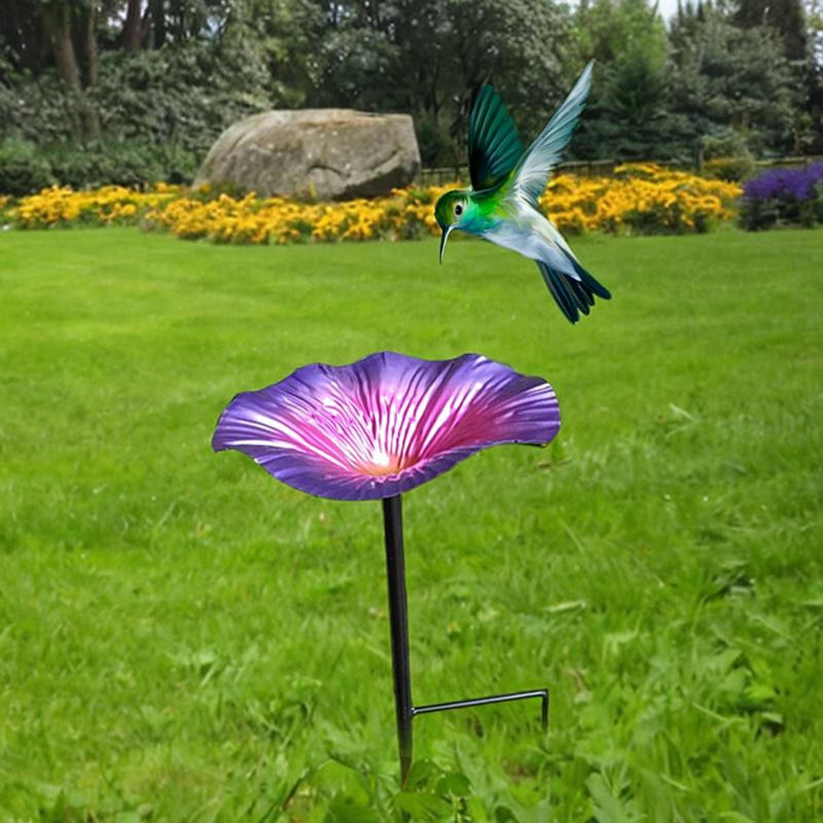 

Bird Bath Feeder Shower Removable Stand Iron 25cmx14 Cm Feed Shell with Pile Landscape Purple Blue