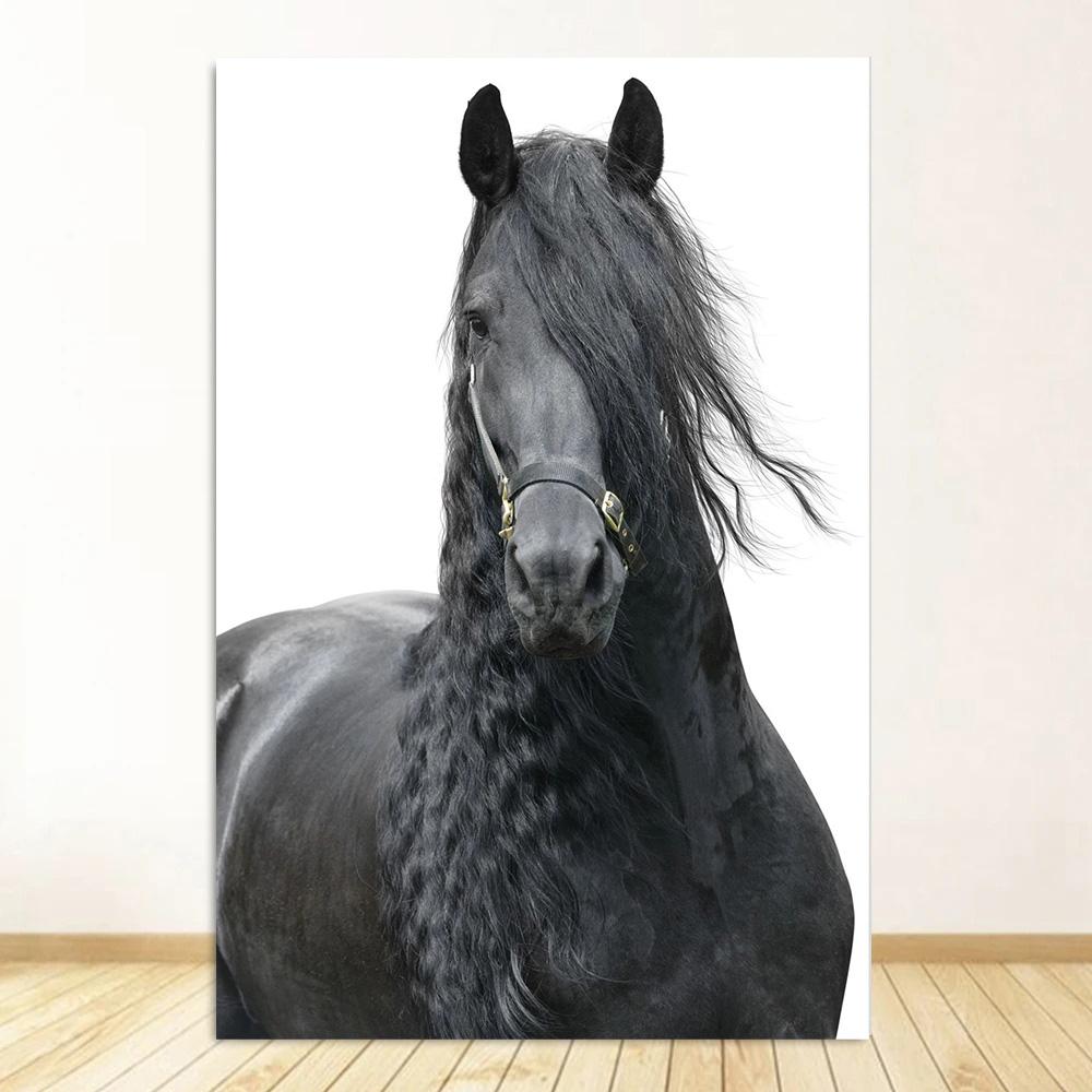 

Черно-белый портрет лошади, постер, печать на холсте, картина с изображением бегущих лошадей, настенное искусство, картина для декора комнаты в фермерском доме 40x50cm