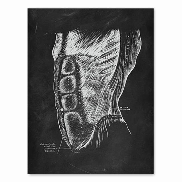 Έργα τέχνης ανθρώπινης ανατομίας ιατρική κλινική εικόνα τοίχου Σκελετός όργανο μυϊκό σύστημα Εκτύπωση εκλεκτής ποιότητας καμβάς Εκπαίδευση σώματος Αφίσα χωρίς πλαίσιο