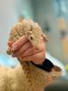 3D Printed Pangolin Toy With Movable Joints Simulated Animal Model For Stress Relief Unique Decompression Tool
